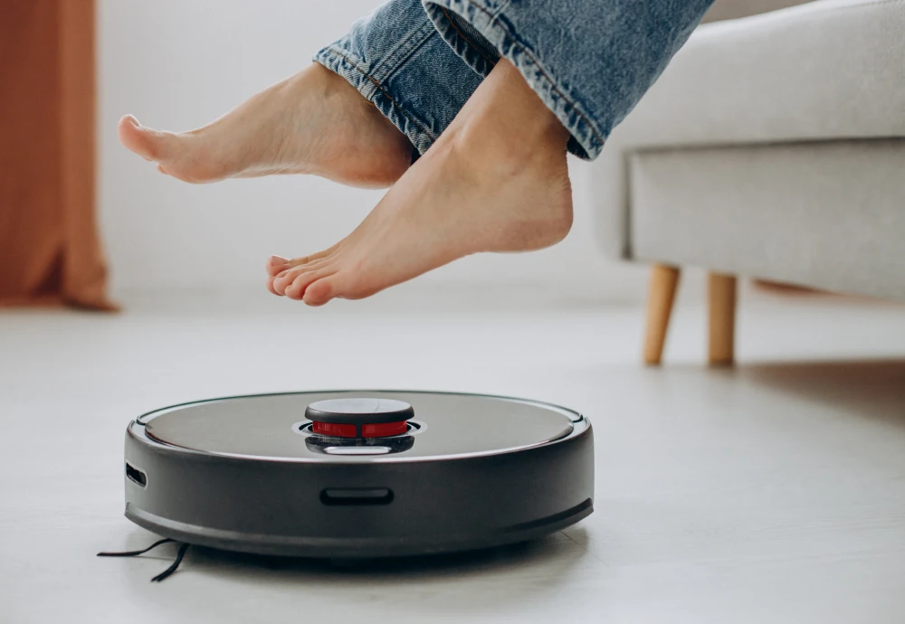 robot vacuum cleaner and mop